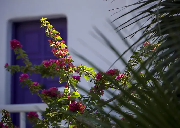 Kivotos Mykonos - Preferred & 5*